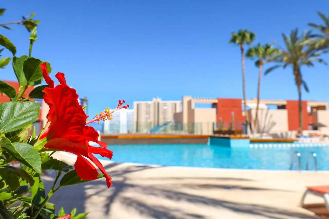 Gorgeous Paraiso Free Wifi بلايا بارايسو 0*,